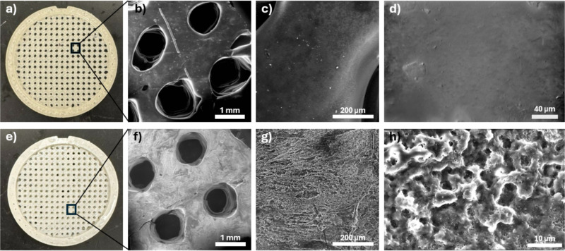 Editorial image related to Waterloo Researchers 3D Print a PLA Filter That Pulls 90% of Microplastics From Water